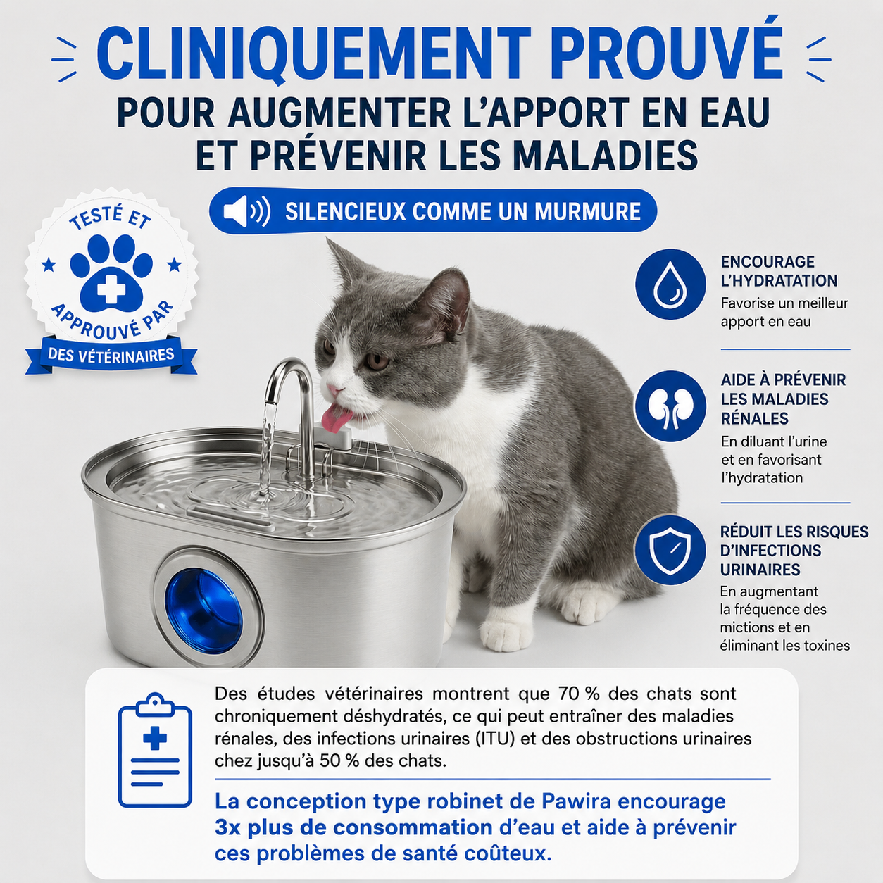 Fontaine à Eau pour Chat en Acier Inoxydable 3,2L