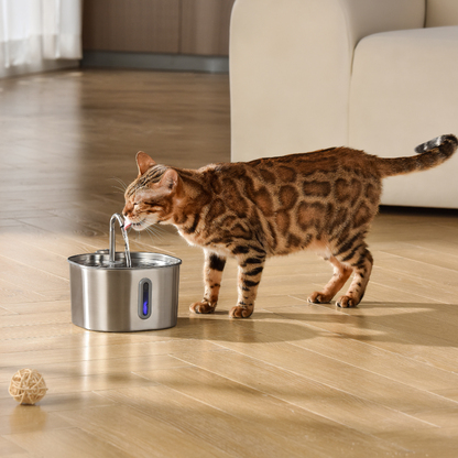 Kit Fontaine 2,2 L pour Chat – 2 Mois d'Utilisation