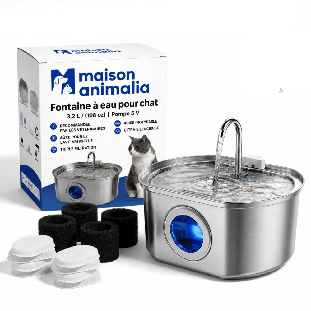 Fontaine à Eau pour Chat en Acier Inoxydable 3,2L