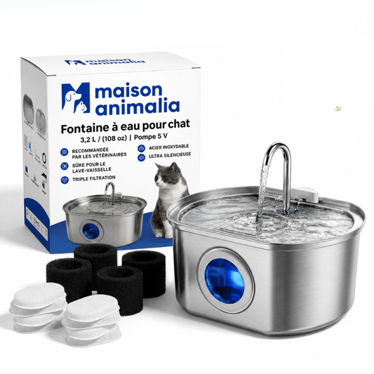 Fontaine à Eau pour Chat en Acier Inoxydable 3,2L