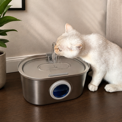 Fontaine à Eau pour Chat en Acier Inoxydable 3,2L